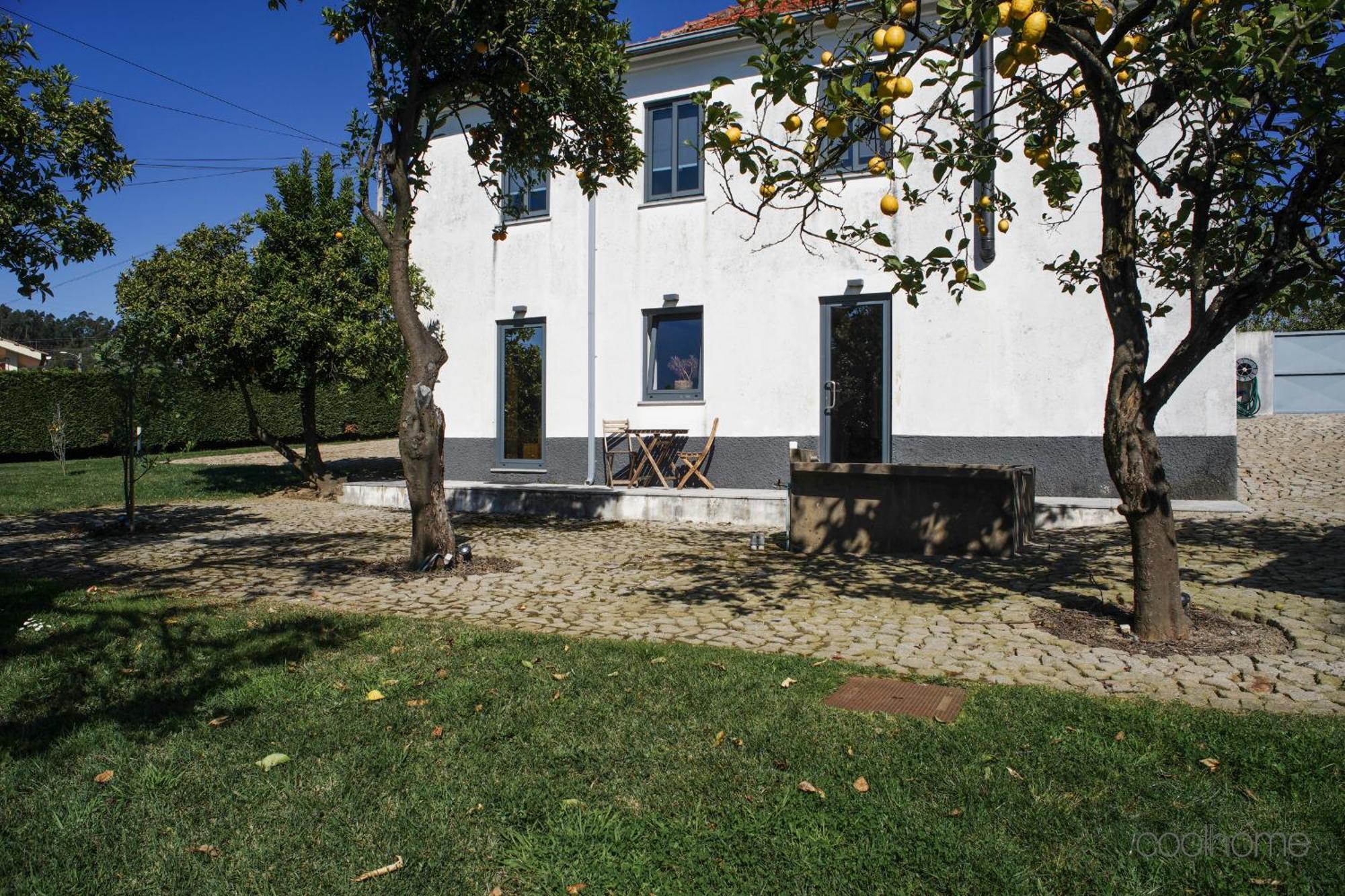 12 Casa D'Avo Βίλα Albergaria-a-Velha Εξωτερικό φωτογραφία
