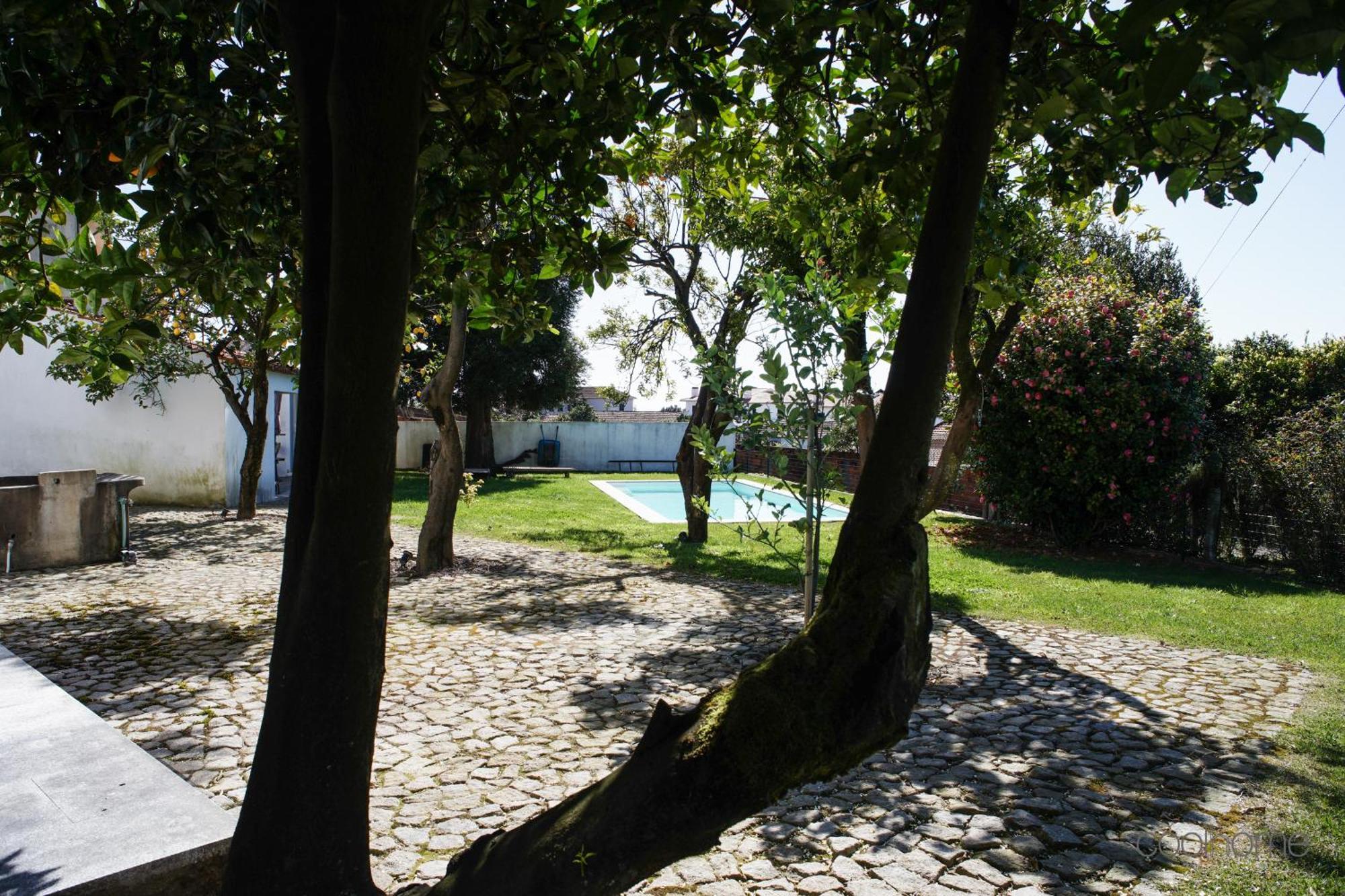 12 Casa D'Avo Βίλα Albergaria-a-Velha Εξωτερικό φωτογραφία