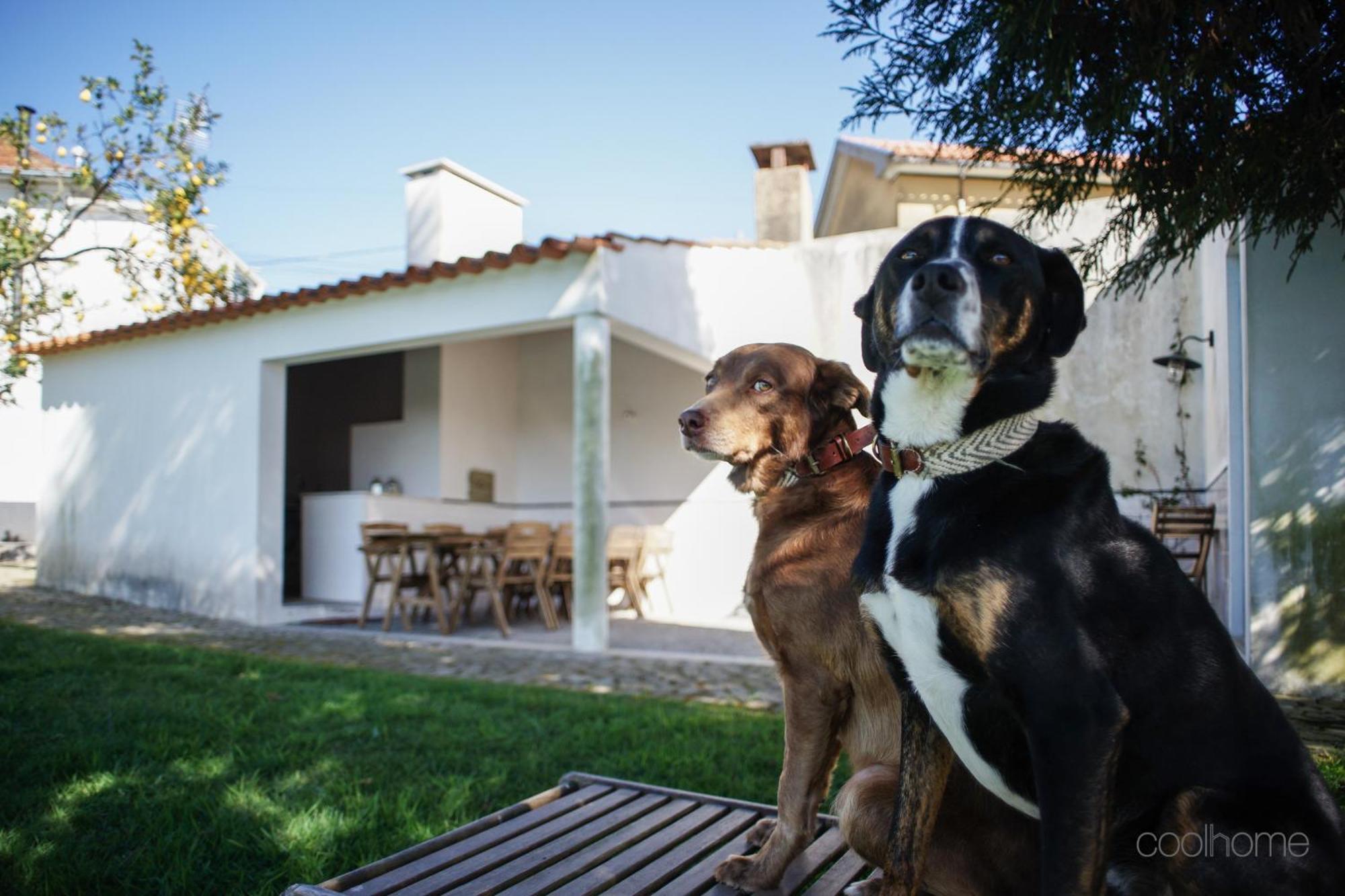 12 Casa D'Avo Βίλα Albergaria-a-Velha Εξωτερικό φωτογραφία